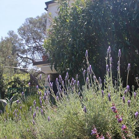 Cappelli Apartments - Losinj Mali Losinj Luaran gambar